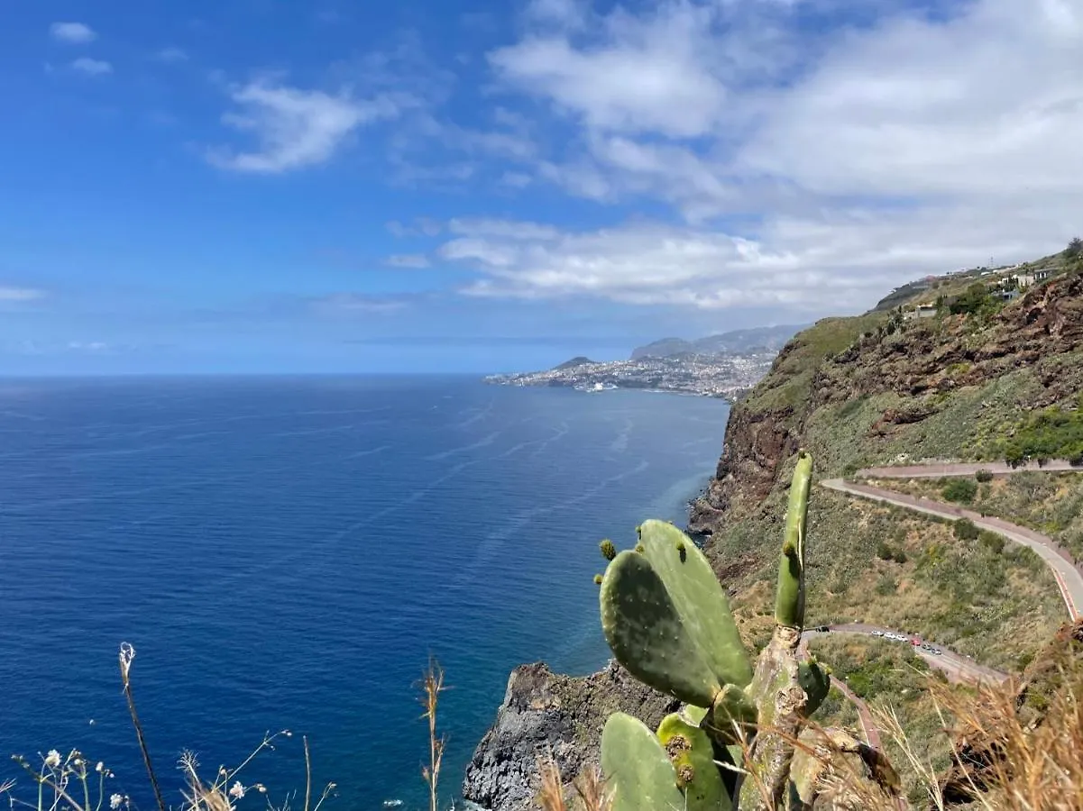 Panoramic Views I Apartment Canico
